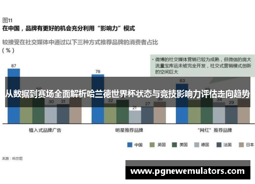 从数据到赛场全面解析哈兰德世界杯状态与竞技影响力评估走向趋势