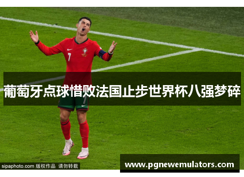 葡萄牙点球惜败法国止步世界杯八强梦碎