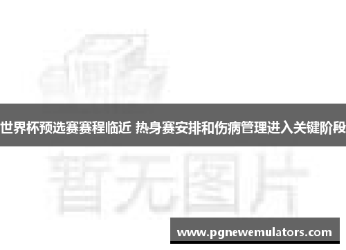 世界杯预选赛赛程临近 热身赛安排和伤病管理进入关键阶段 世界杯预选赛赛程临近 热身赛安排和伤病管理进入关键阶段