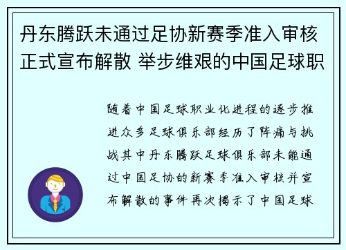 丹东腾跃未通过足协新赛季准入审核正式宣布解散 举步维艰的中国足球职业化困境再现